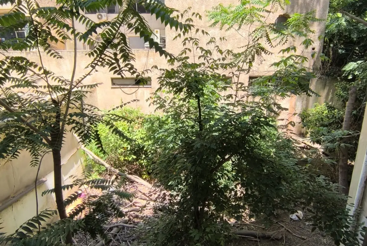 Golden Visa Commercial Building